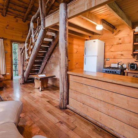 Huilo Huilo Cabanas Del Bosque Puerto Fuy Buitenkant foto