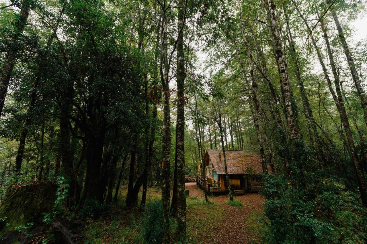 Huilo Huilo Cabanas Del Bosque Puerto Fuy Kamer foto