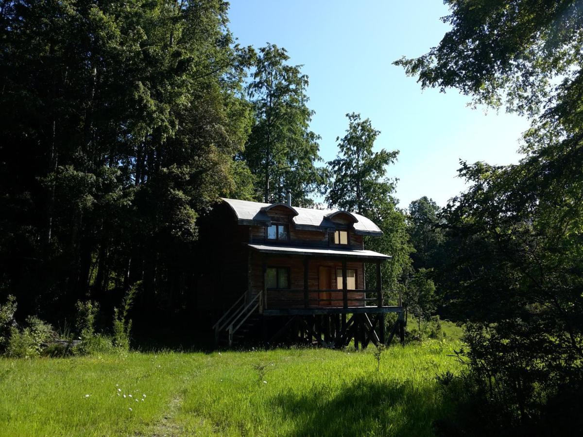 Huilo Huilo Cabanas Del Bosque Puerto Fuy Buitenkant foto