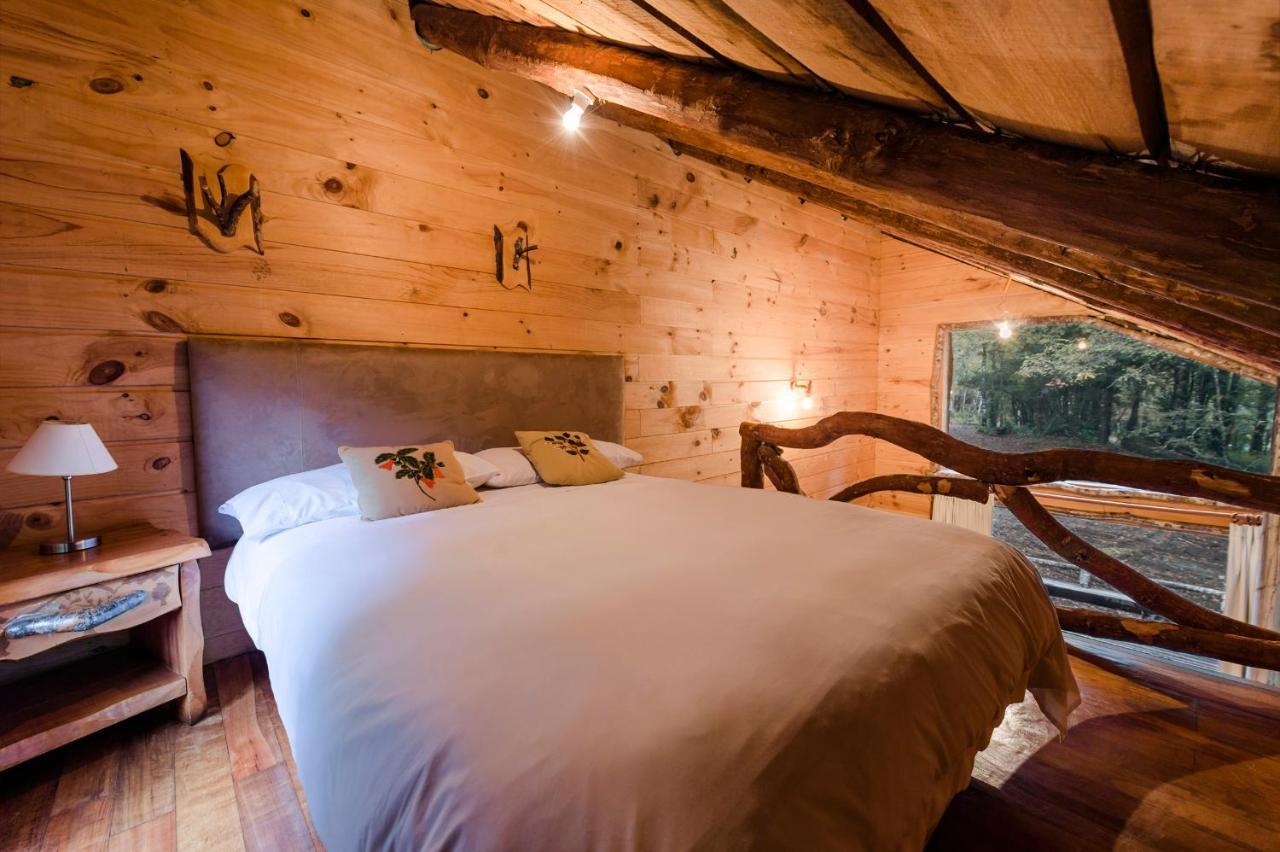 Huilo Huilo Cabanas Del Bosque Puerto Fuy Kamer foto
